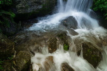 Paglajhora waterfall , famous waterfall in monsoon, at Kurseong, Himalayan mountains of Darjeeling, West Bengal, India. Origin of Mahananda River flowing through Mahananda Wildlife Sanctuary.