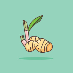 illustration of the galangal spice logo icon, galangal kitchen spice for the cooking industry	