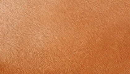 leather texture. simple background texture.