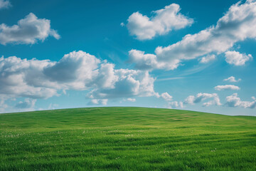 Obraz premium Green grass field with blue sky and white clouds.