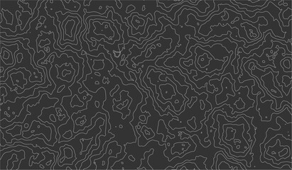 Topographic map background concept with space. Gray topographic line contour map black background image.