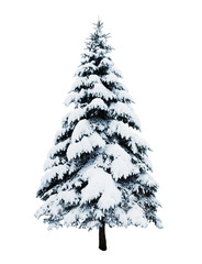 Christmas fir tree  covered with snow isolated.