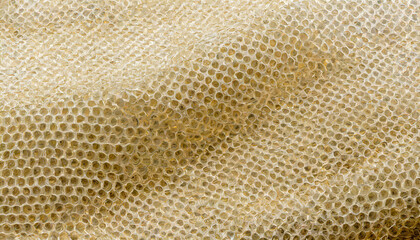 Intriguing patterns and textures emerge from wave filter paper