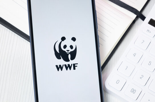 New York, USA - 30 June 2024: WWF Logo or Icon on Phone Screen