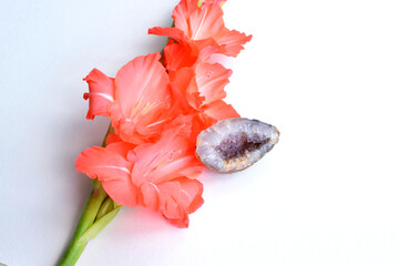 Beautiful amethyst geode and coral gladiolus flower on a white background.