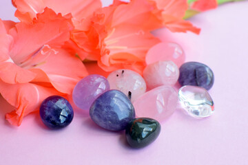 Beautiful amethyst and rose quartz crystals and coral gladiolus flower on a pink background.