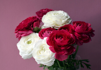 A beautiful bouquet of red and white ranunculus in full bloom.