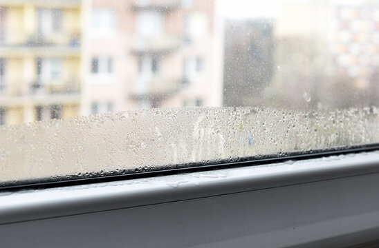 Drops of condensate and black mold on a substandard metal-plastic window. Europe, Czech Republic.