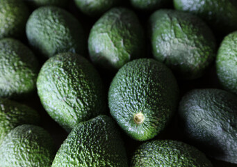 Close-up of green whole 
Hass avocados