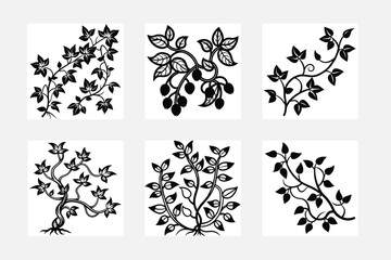 black and white floral elements set