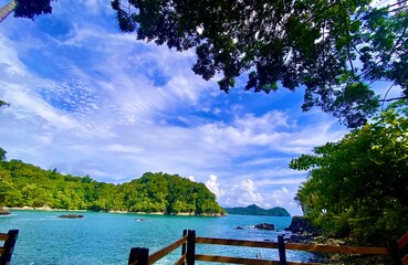 lake in summer