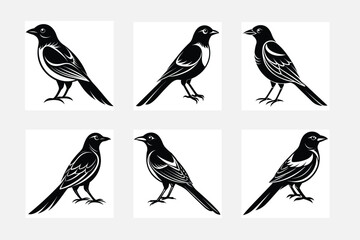 set of birds isolated