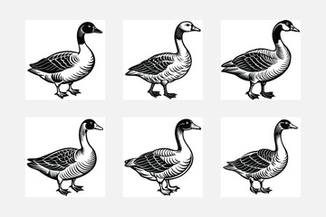 goose and geese simple illustration silhouette set