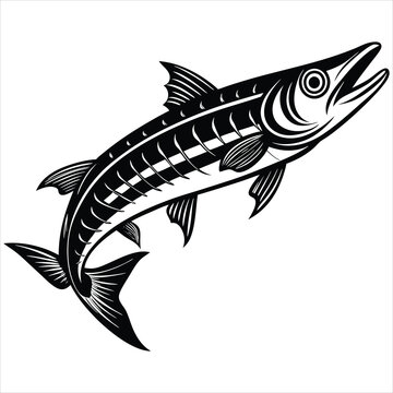 Barracuda clip art preview