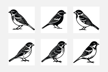 set of birds on a branch