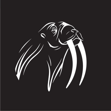 recommend clip art: head of a walrus