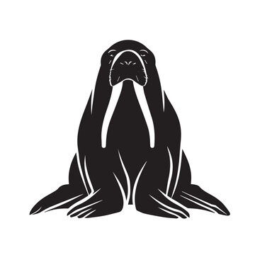 recommend clip art: walrus on white background
