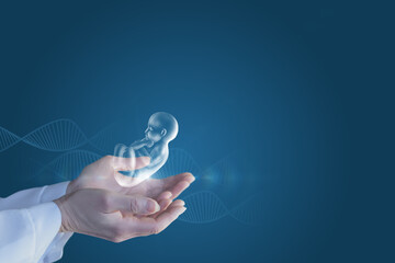 Doctor supporting embryo .