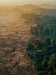Stunning Aerial View of a Rainforest Being Ravaged by Deforestation