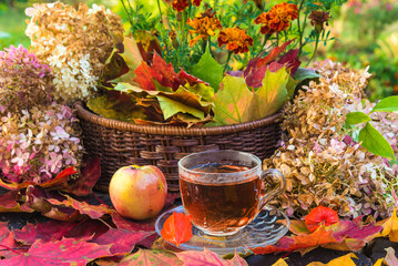 Autumn tea time: transparent cup of tea, autumn flowers and maple leaves