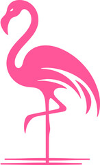 pink flamingo illustration
