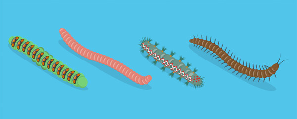 3D Isometric Flat Vector Set of Caterpillars And Worms, Biology and Education