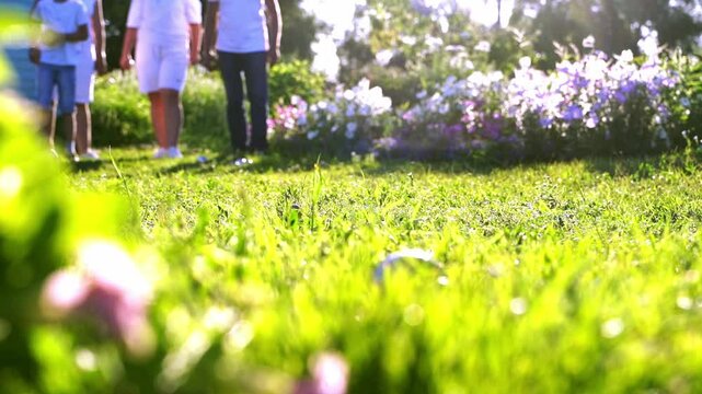 Elderly people playing petanque on the grass with young people