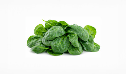 Fototapeta premium Fresh Wet Spinach Leaves on White Background