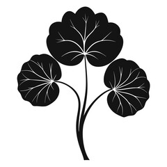 Indian Pennywort Silhouette Black Line Art Vector Illustration