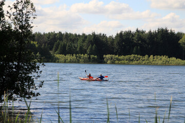 Summer landscape with lake and trees