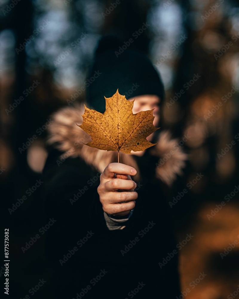 Canvas Prints Close-up shot of a hand holding a yellow autumn maple leaf with a blurred background