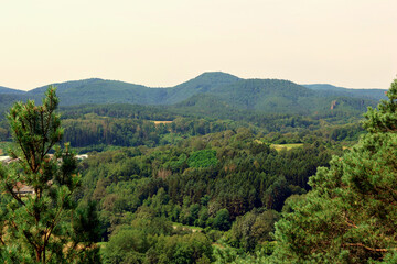 Blick in den Pfälzerwald bei Schindhard in der Verbandsgemeinde Dahner Felsenland im deutschen Landkreis Südwestpfalz im Bundesland Rheinland-Pfalz. Aussicht vom Premium-Wanderweg Hahnfels-Tour.
