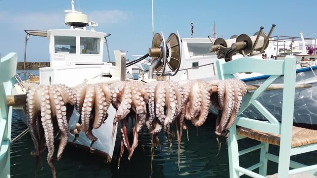 Sundried fresh octopuses - typical dish of Paros island, Greece