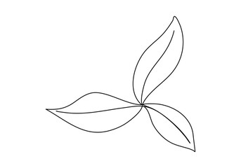 Plant with leaves. One line drawing vector illustration.