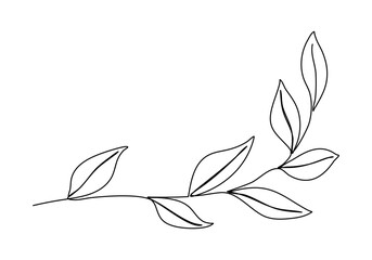Plant with leaves. One line drawing vector illustration.