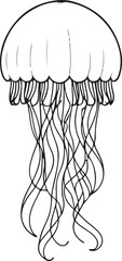 Cute Jellyfish line art illustration icon design, solid white background