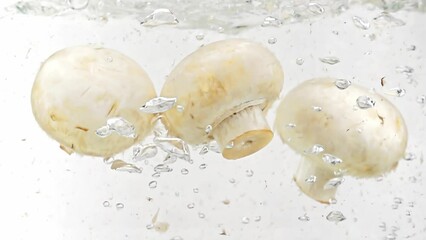 White champignons are thrown into water to wash them before cooking filmed in macro slow motion. Cleaning mushrooms in aqua to prepare for making delicious meal. Vitamins and nutriments in products - Powered by Adobe