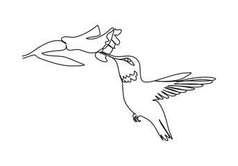 Hummingbird. One line drawing vector illustration.