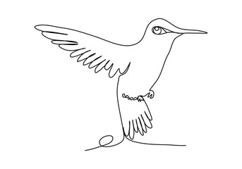 Hummingbird. One line drawing vector illustration.