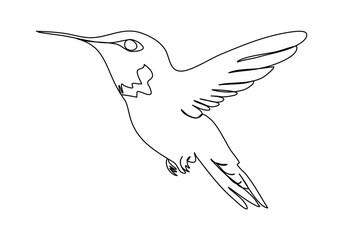 Hummingbird. One line drawing vector illustration.