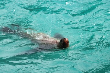 Fototapeta premium Yakutat Bay, Alaska