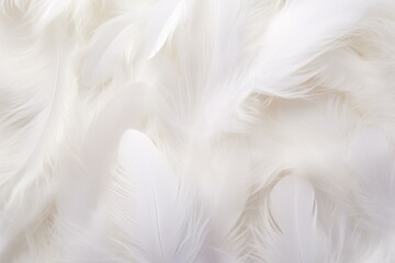 Obraz premium Delicate and ethereal soft white feathers texture with a close-up, fluffy, and gentle background, showcasing the lightness, purity, and tranquility of nature