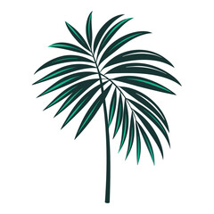 Minimalist Palm Leaf Silhouette Vector Art