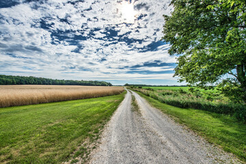 A rural, gravel road disappears in the distance between farm fields.