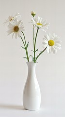 Vase with flowers: Daisy, white background.