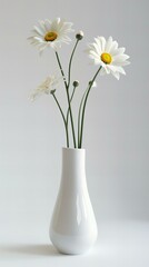 Vase with flowers: Daisy, white background.
