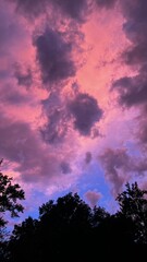 Pink Sunset with clouds and trees