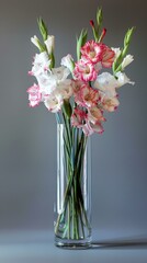 Fototapeta premium Vase with flowers: Gladiolus, white background.