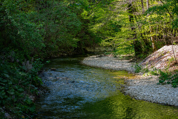 Slapnica stream canyon in the dense forest of Zumberak mountains, Croatia, popular weekend walking trail through the green woods in spring season