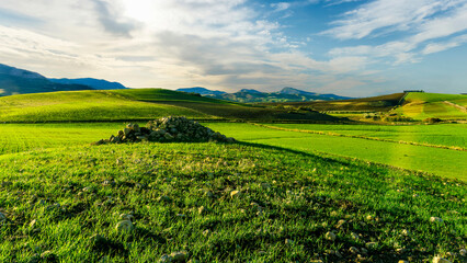 Scenic view at beautiful spring sunset in a green shiny field with green grass and golden sun rays, deep blue cloudy sky on a background , forest and country road, summer valley landscape